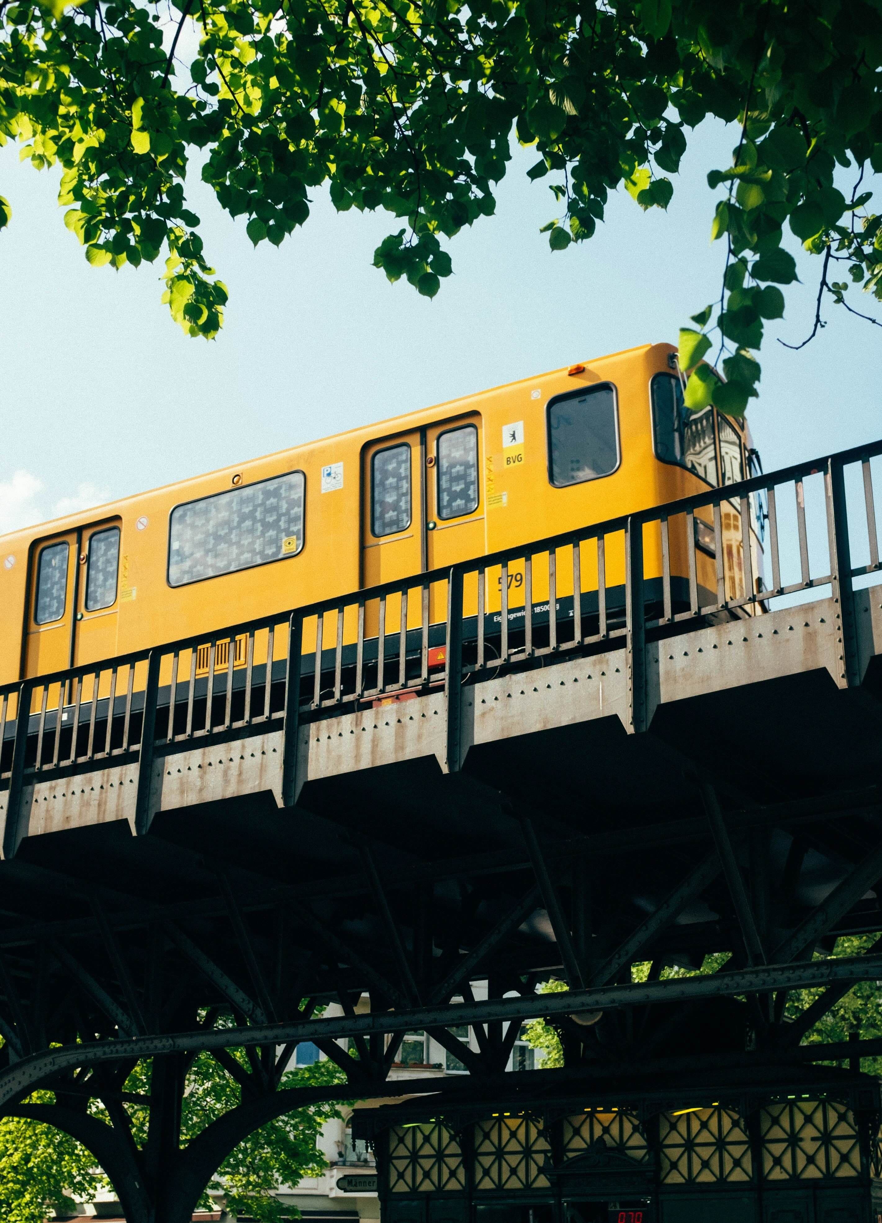 Gelber Berliner Nahverkehrszug auf einem Hochbahn-Viadukt, im Vordergrund Blätter eines Baums